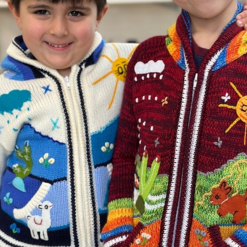 peruvian hooded knit sweater childresn 2t 3t